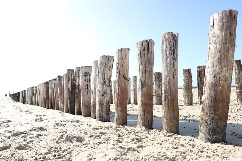 golfbreker in zeeland par eddy Peelman