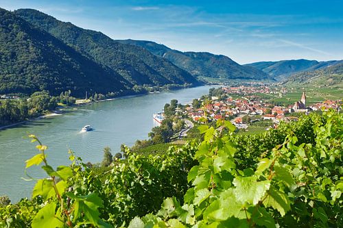 Hike through the Wachau