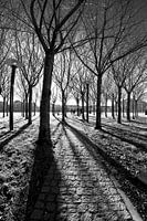 Amsterdam - Museumplein in tegenlicht