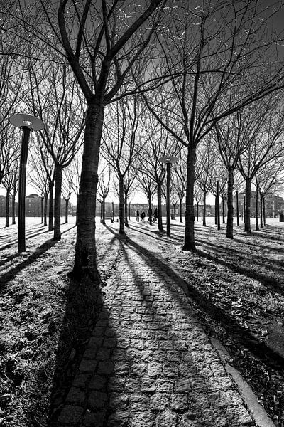 Amsterdam - Museumplein in tegenlicht van Tony Buijse