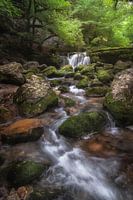 Waterval in de Jura te Frankrijk