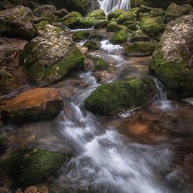 Wasserfall im Jura in Frankreich von Dennis Mulder