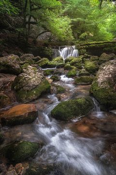 Wasserfall im Jura in Frankreich von Dennis Mulder