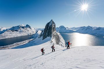 Randonnées à ski en hiver sur Senja près de Hester avec vue sur les fjords sur Leo Schindzielorz