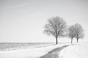 L'étreinte silencieuse de l'hiver