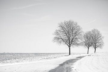 Eenzaamheid op de weg  in de winter foto | Kerst sneeuw Zwart-witte veld bomen | natuurfotografie Kunst Kerstmis nieuwjaar platanen van An Rogier