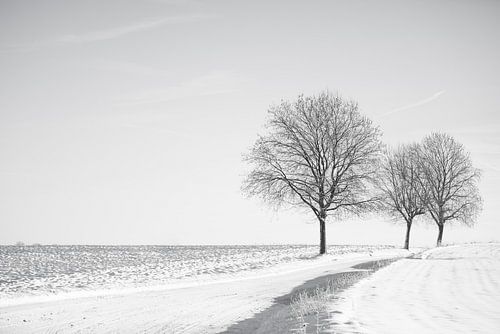 L'étreinte silencieuse de l'hiver sur An Rogier
