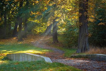 Autumn in the park by Martin Wasilewski