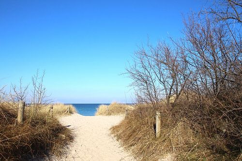 Strandaufgang im Winter by Ostsee Bilder