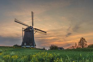 Rijnsaterwoude - Die Geestmühlen