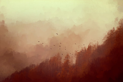 Malerische Herbstimpression