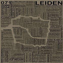 Karten von Leiden