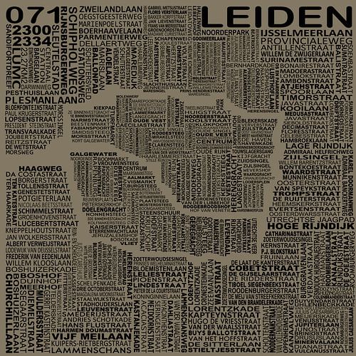 Kaart van Leiden