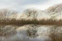 Couleurs d'automne créatives