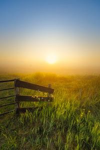 Sonnenaufgang über dem Wieden an einem schönen nebligen Frühlingsmorgen im Mai.