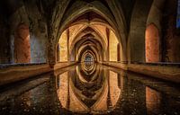 Alcazar Sevilla