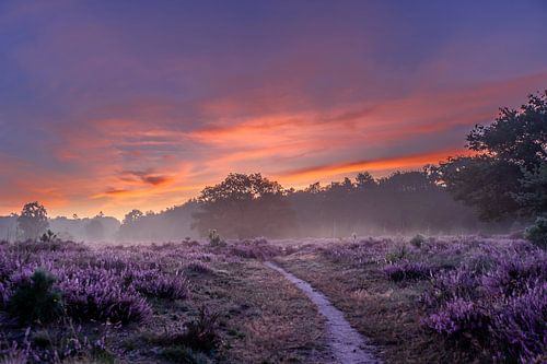 Pad in de mist