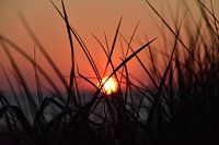 Zonsondergang aan zee