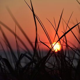 Zonsondergang aan zee van Philipp Klassen