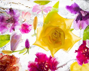 Flowers in ice cream by Becky B. Photography Netherlands
