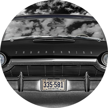 Ford Thunderbird Flair Vogel