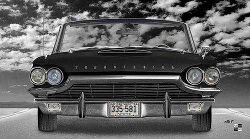 Ford Thunderbird Flair Bird