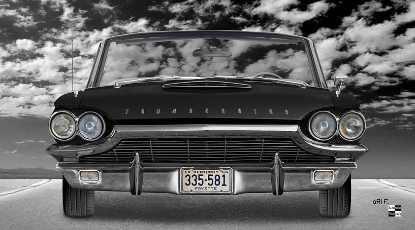 Ford Thunderbird Flair Bird by aRi F. Huber
