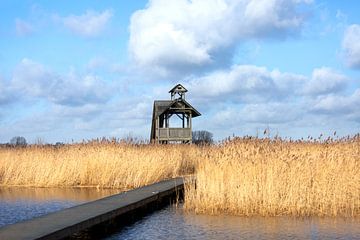 Watch Tower Zuidlaardermeer by P Kuipers