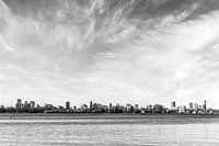 Skyline Rotterdam II