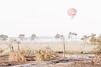 Luchtballon boven de Kalmthoutse Heide