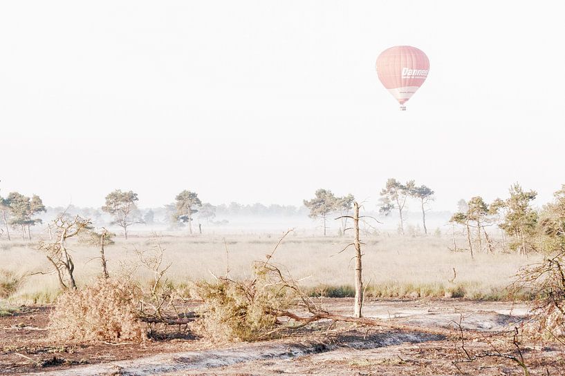 Heißluftballon über der Kalmthoutse Heide von Bruno Hermans