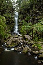 Flow by Mike van den Brink