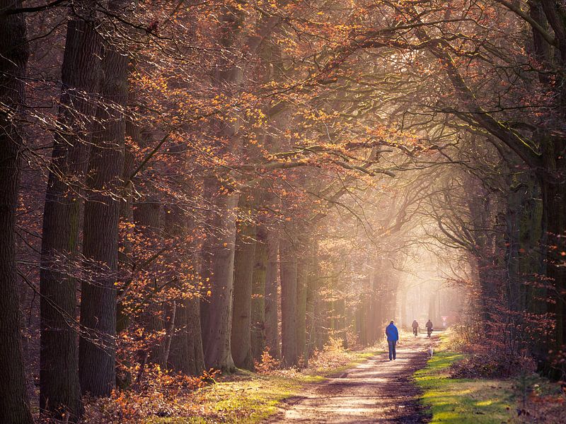 Heeze 34 by Deshamer