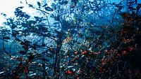 Abstract 3