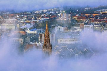 Nuages de brouillard au-dessus de Fribourg