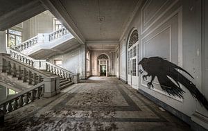Treppe in großen Gebäuden mit Vogel-Kunst an der Wand