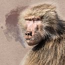Portrait d'un babouin femelle (art) par Art by Jeronimo Aperçu