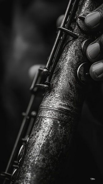 Musikinstrument in Schwarz und Weiß von Gelissen Artworks
