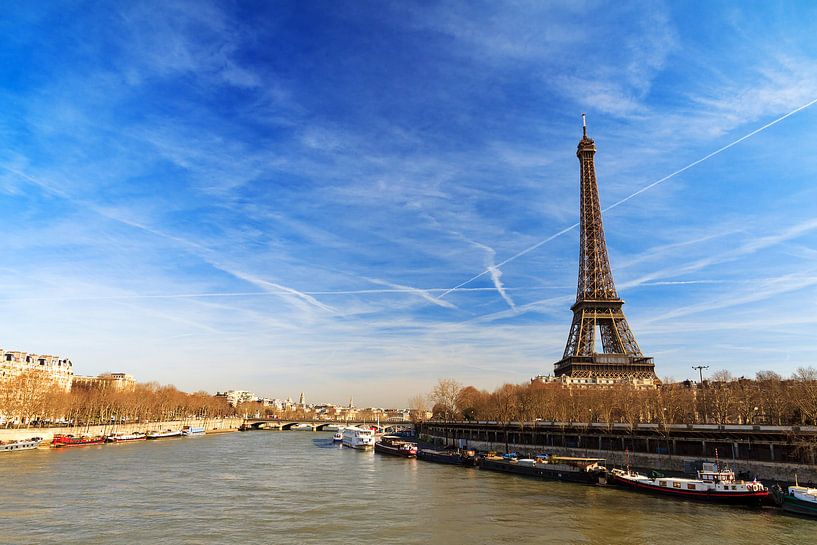 Seine en Eiffeltoren van Dennis van de Water
