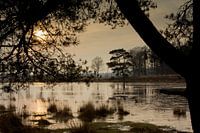 Ven in het Mandeveld te Bakkeveen (Friesland)
