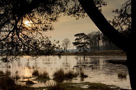 Lac dans le Mandeveld à Bakkeveen (Frise)
