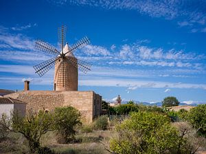 Mallorca - Mühle in Algaida