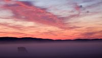 Landschap 