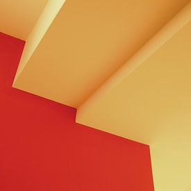 Red & Yellow. by JRobert Photography