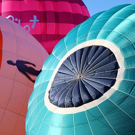 Luchtballonnen van Erick van Bommel