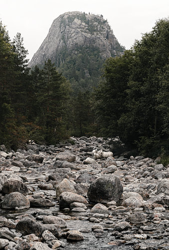 Schapen in een Noorse rivierbedding — Verticale landschapsfoto van Scandinavische wildernis
