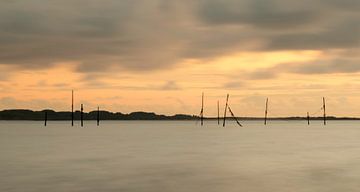 View of shrimp sticks by Annemarie van der Hilst