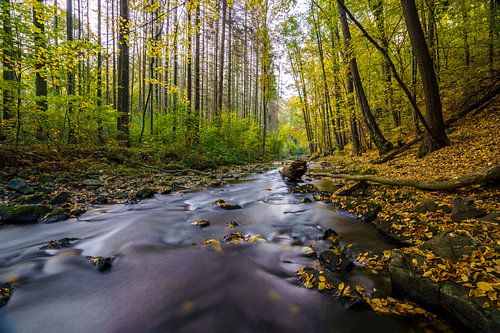 Paysage d'automne avec rivière 1