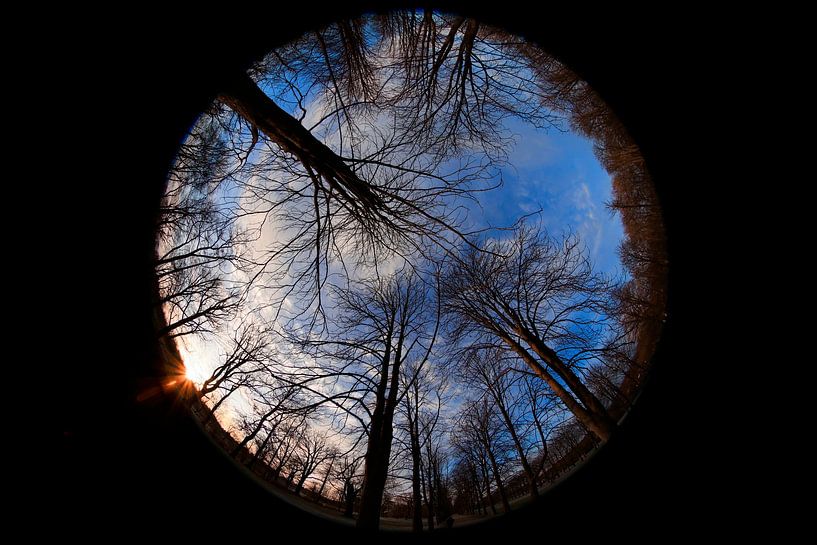 Regard vers le ciel un soir d'hiver par Thomas Jäger