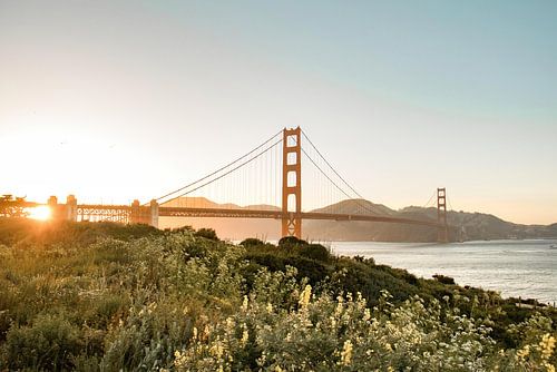 Golden Gate met wilde voorjaarsbloemen, San Francisco, VS